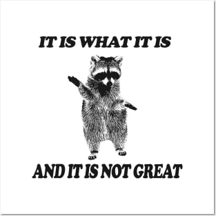 It Is What It Is And It Is Not Great Raccoon Shirt - Vintage Drawing T Shirt, Raccoon Meme T Shirt, Funny Y2K Tee Shirt, Unisex Posters and Art